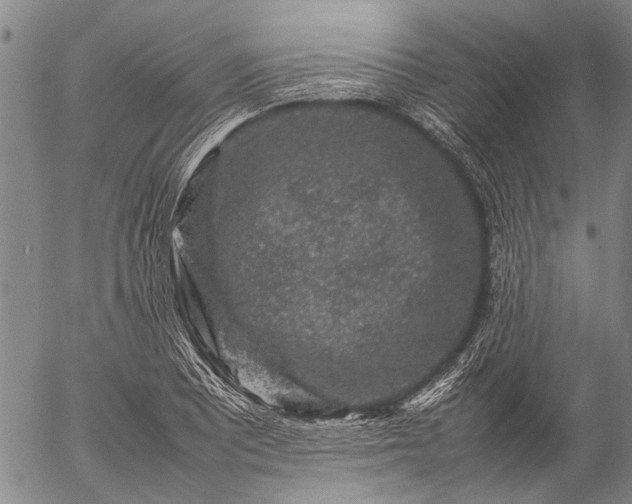 X0000057081081200509161558