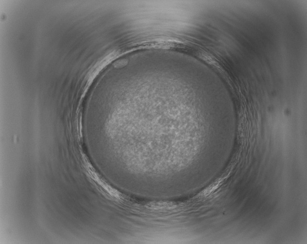 X0000057081083200509161558