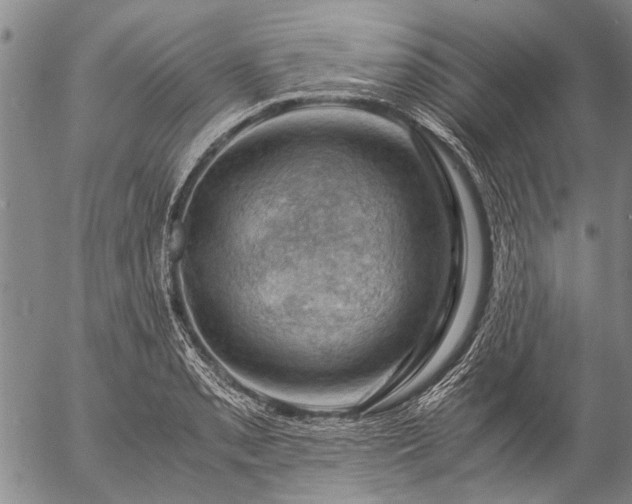 X0000057081085200509161558