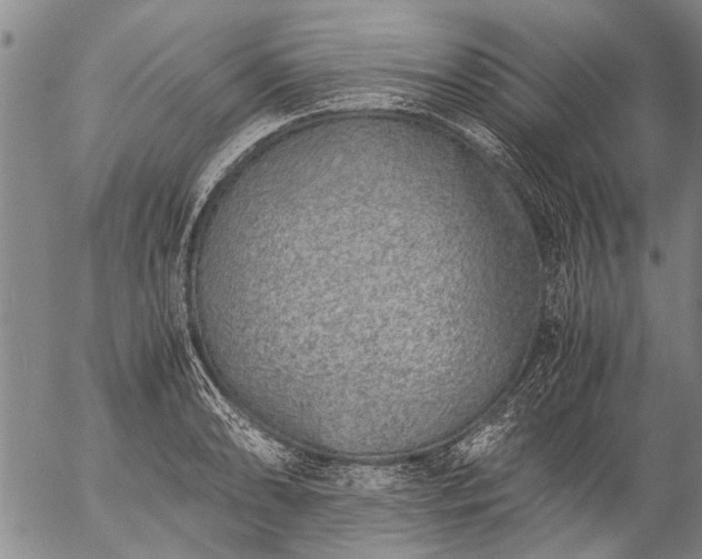 X0000057081086200509161558