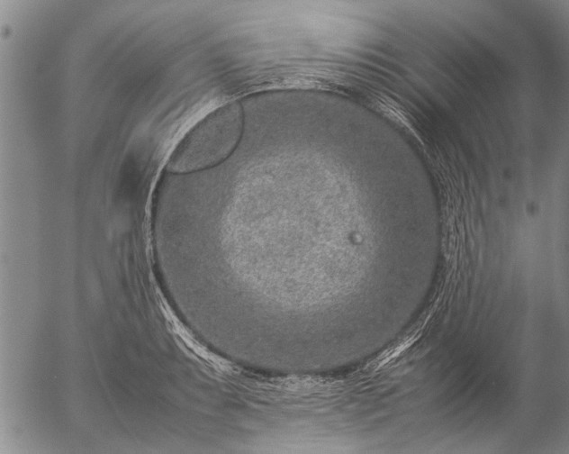 X0000057081087200509161558