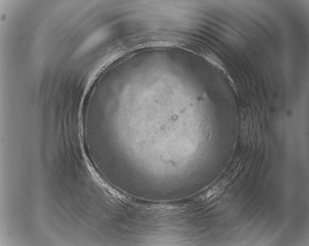 X0000057081088200509161558