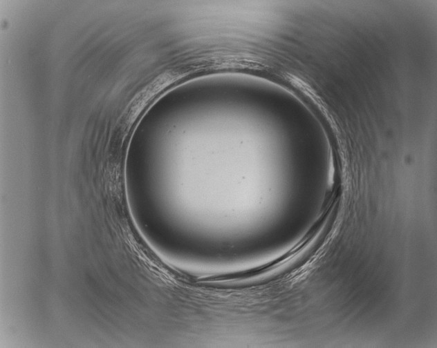 X0000057081089200509161558