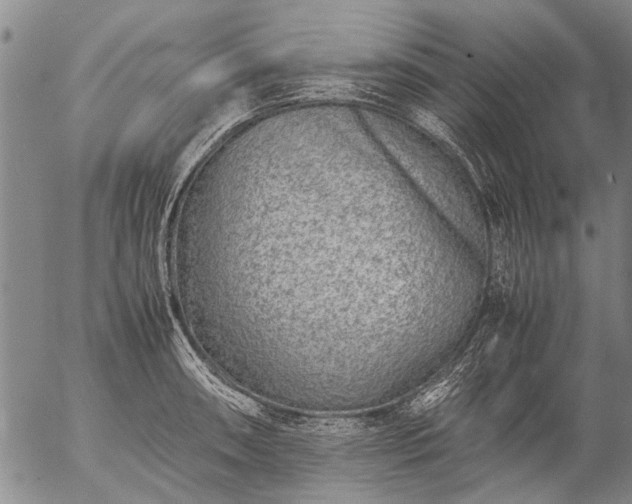 X0000057081090200509161558