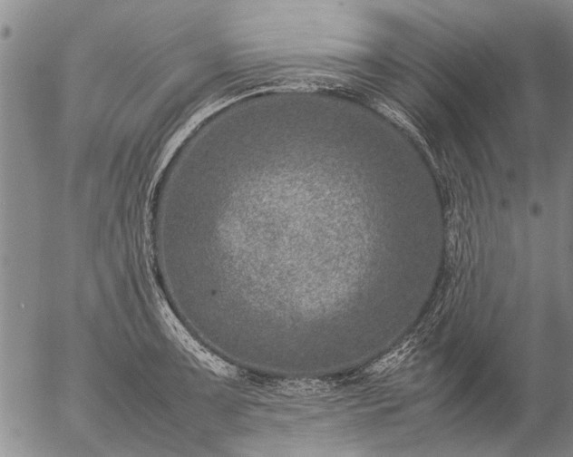 X0000057081091200509161558