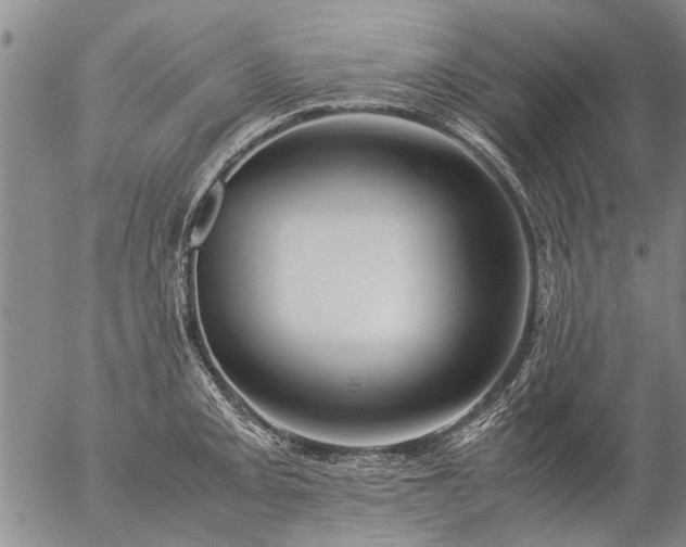 X0000057081093200509161558