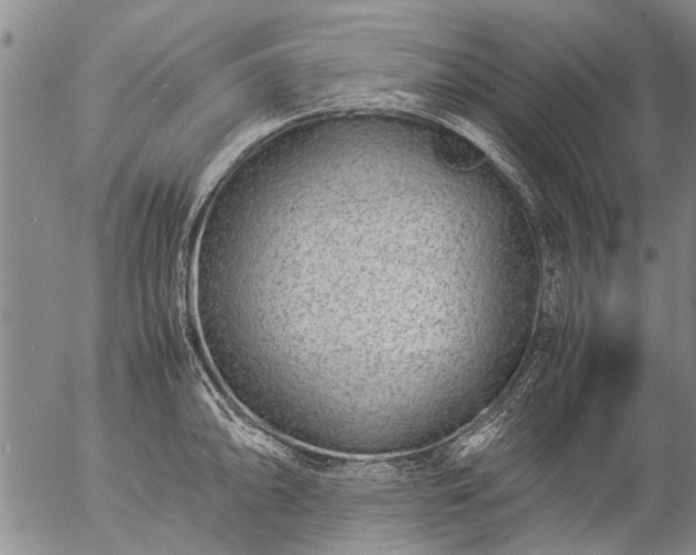 X0000057081094200509161558