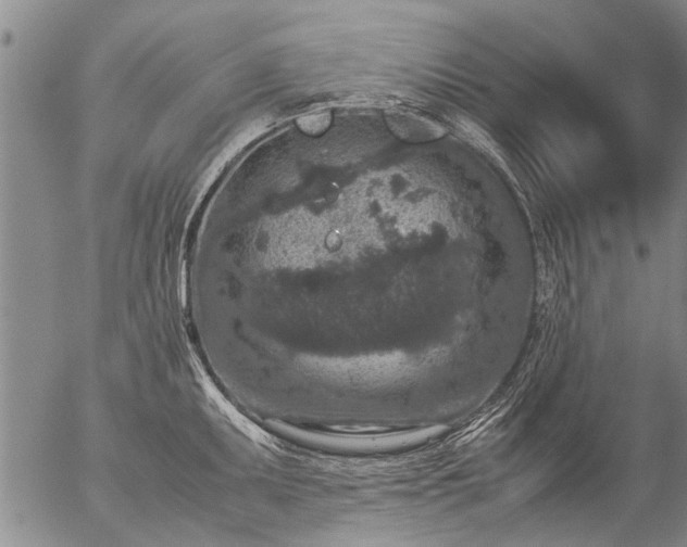 X0000057081095200509161558