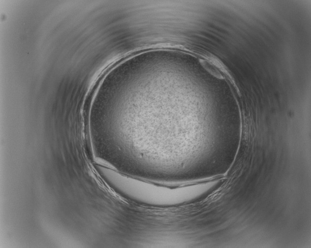 X0000057081096200509161558