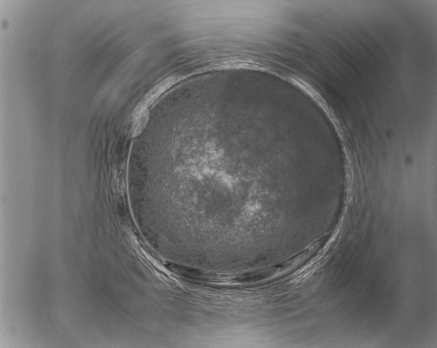 X0000057081097200509161558