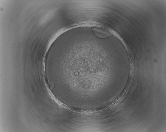 X0000057081099200509161558