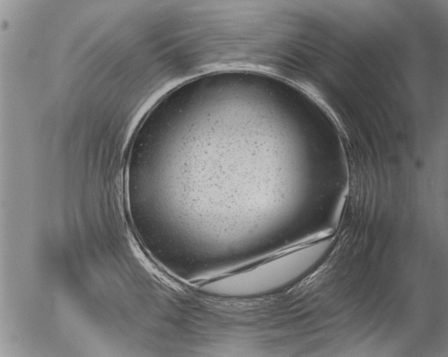 X0000057081100200509161558