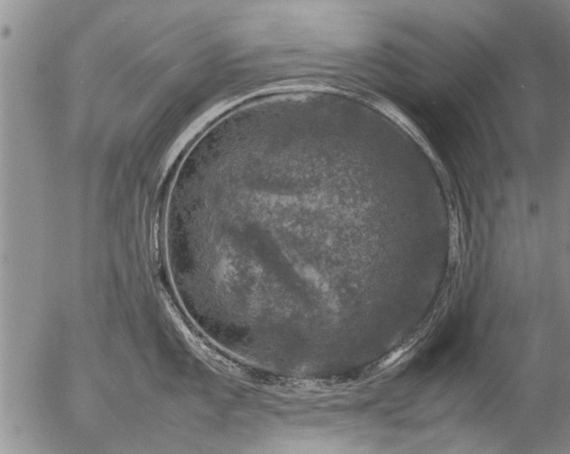 X0000057081101200509161558