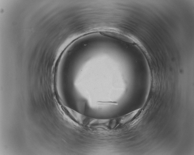 X0000057081102200509161558