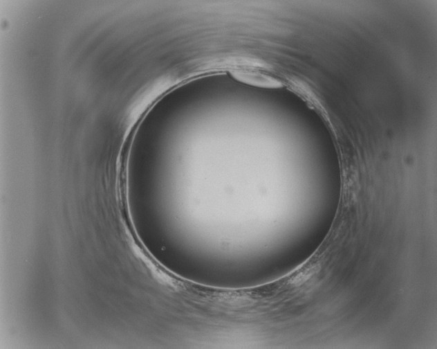 X0000057081103200509161558