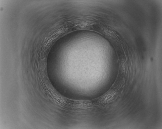 X0000057081105200509161557