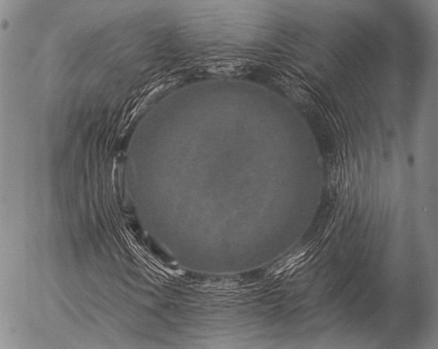 X0000057081106200509161557