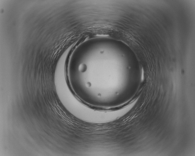 X0000057081108200509161557