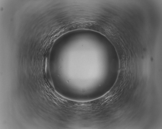 X0000057081109200509161557