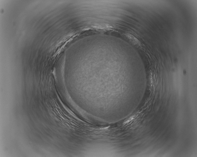 X0000057081110200509161557