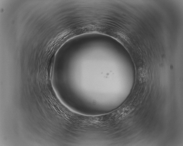 X0000057081111200509161557