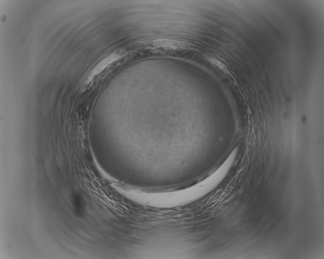 X0000057081112200509161557