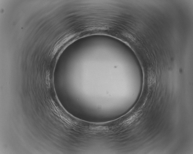 X0000057081113200509161557