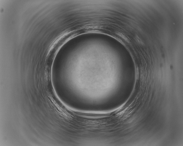 X0000057081115200509161557