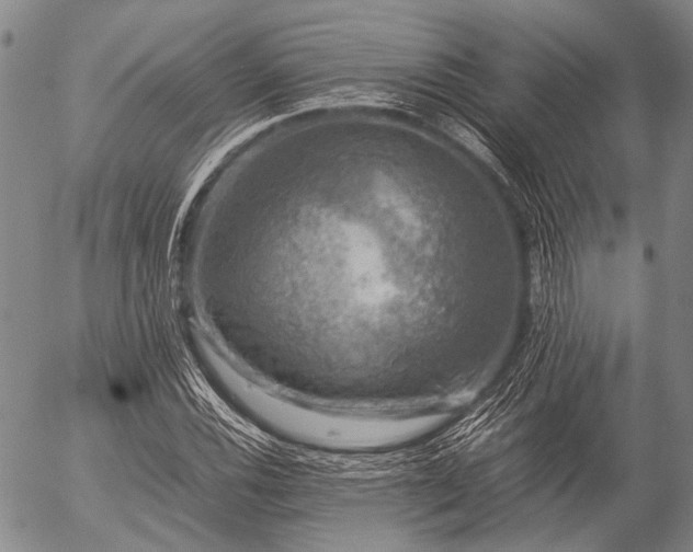 X0000057081116200509161557