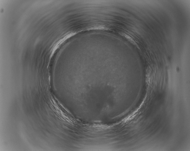 X0000057081117200509161557