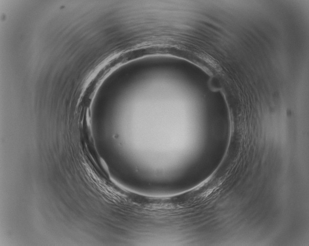 X0000057081118200509161557