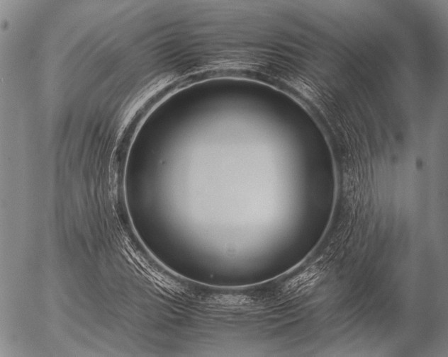 X0000057081119200509161557