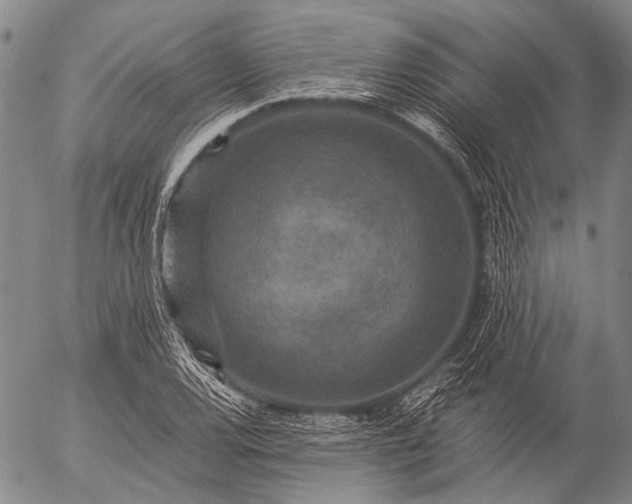 X0000057081120200509161557