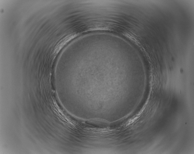 X0000057081121200509161557