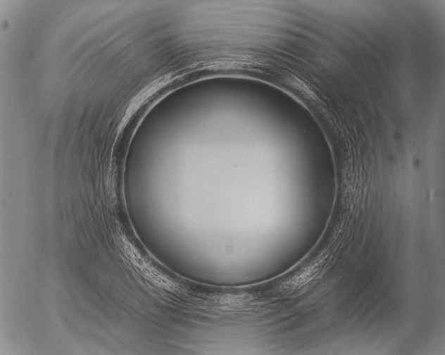 X0000057081122200509161557