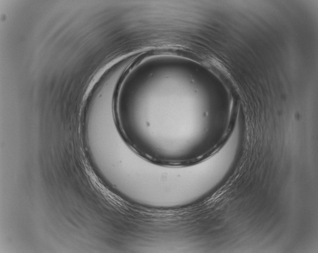 X0000057081124200509161557