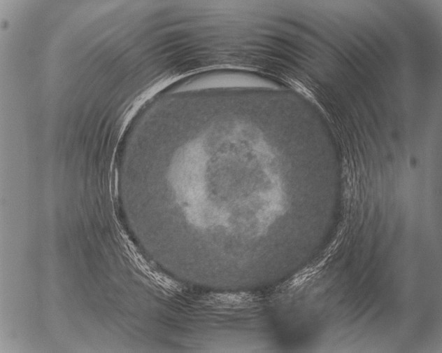 X0000057081125200509161557