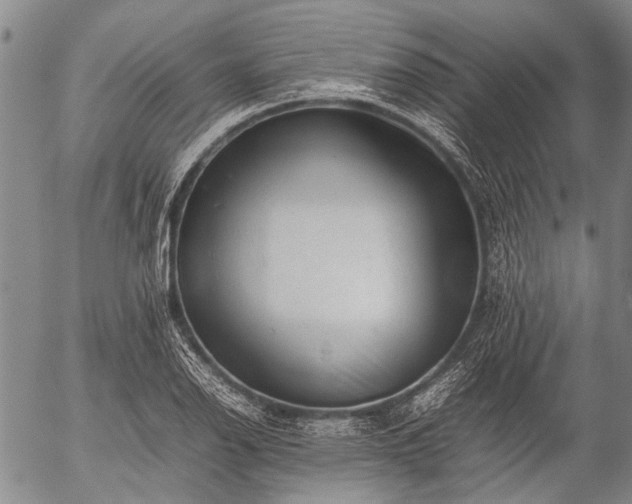 X0000057081126200509161557