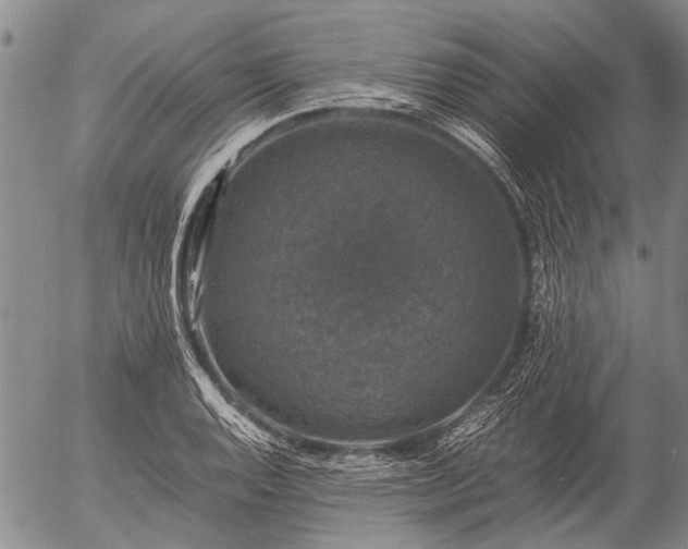 X0000057081128200509161557