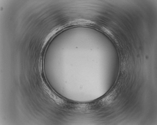 X0000057081130200509161557