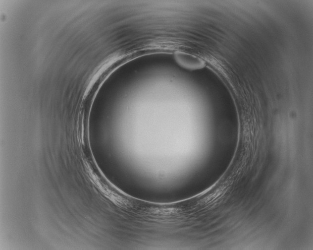 X0000057081131200509161557