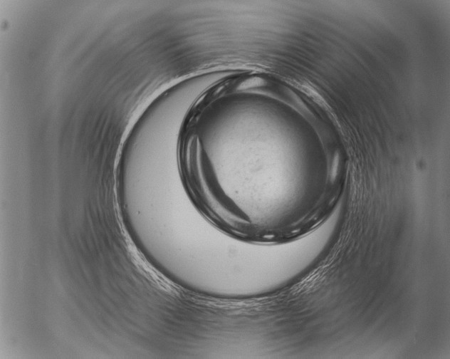 X0000057081132200509161557