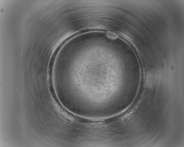 X0000057081133200509161557