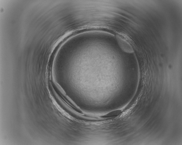 X0000057081134200509161557