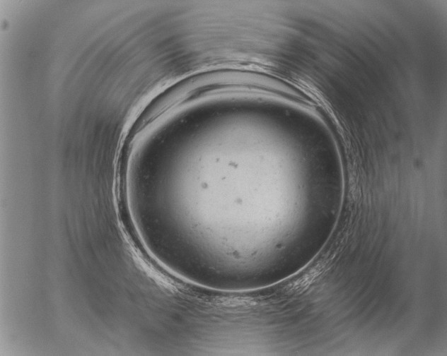 X0000057081136200509161557