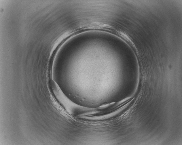 X0000057081138200509161557