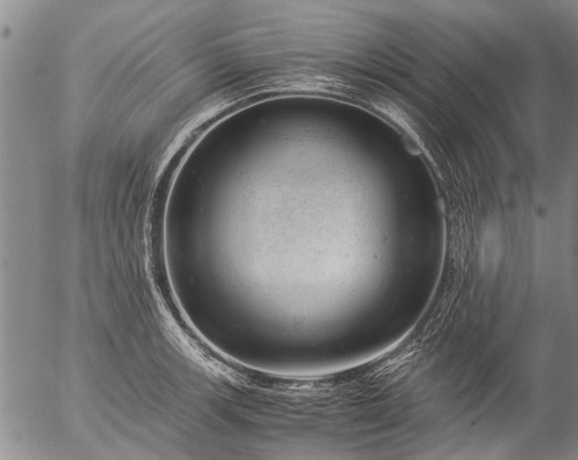 X0000057081139200509161557