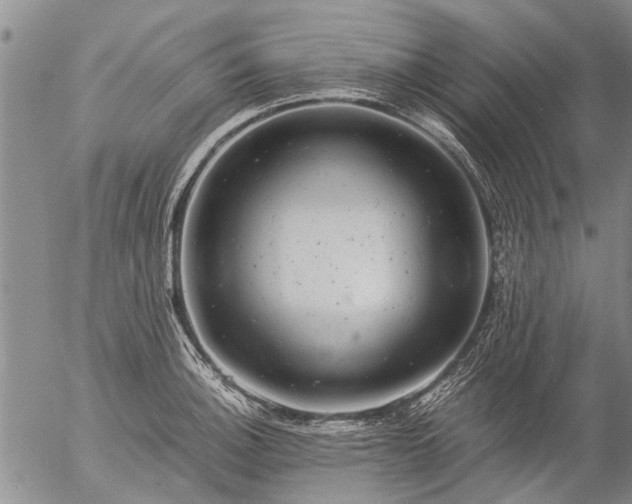 X0000057081140200509161557