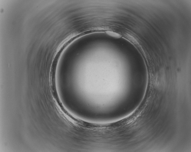 X0000057081141200509161557