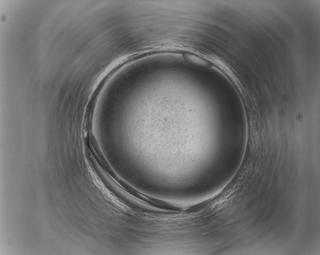 X0000057081142200509161557